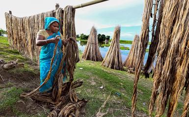 Isha Jute